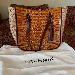 Brahmin Snakeskin Purse